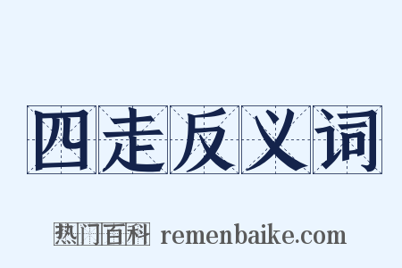 四走反义词是什么意思的图片
